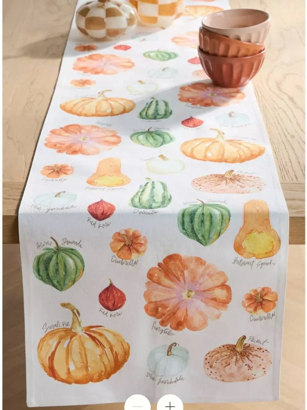 Anthropologie Types of Pumpkin Squash Table Runner- New